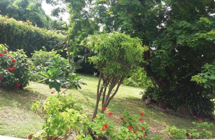 Comfy Home-Tropical Garden & 5 Min Walk To Beach Tamarin Exterior foto