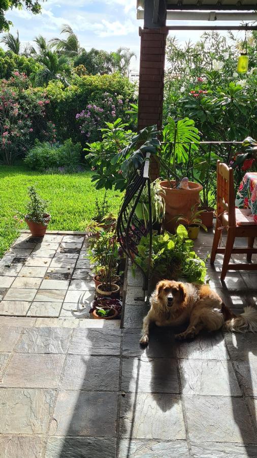 Comfy Home-Tropical Garden & 5 Min Walk To Beach Tamarin Exterior foto