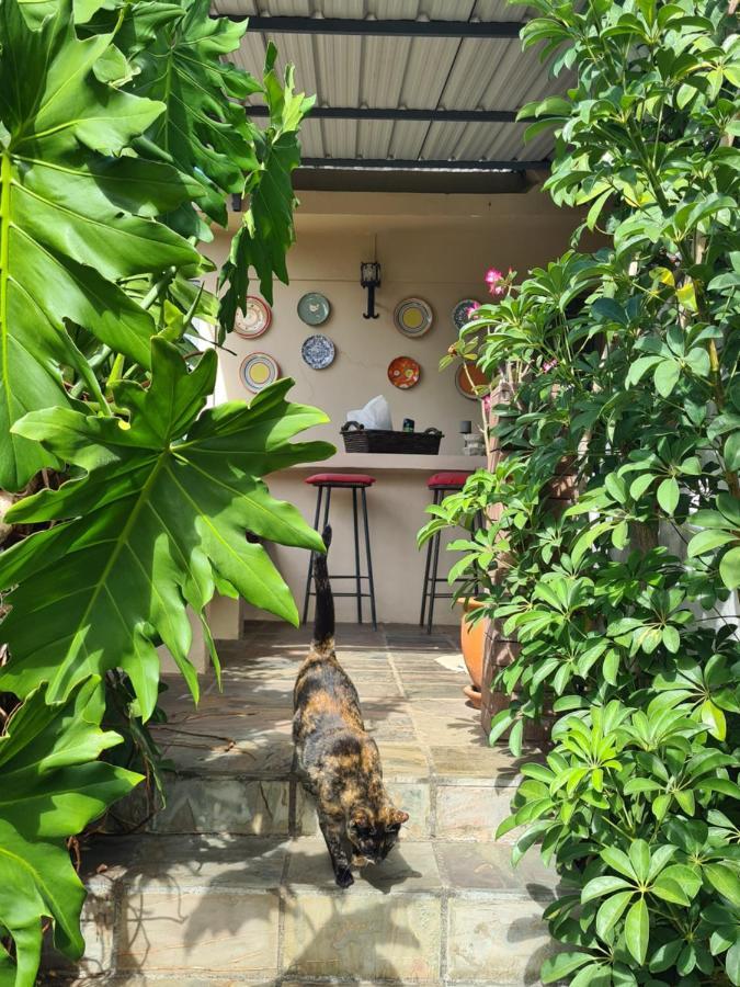 Comfy Home-Tropical Garden & 5 Min Walk To Beach Tamarin Exterior foto
